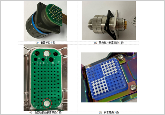 电连接器霉菌试验.jpg
